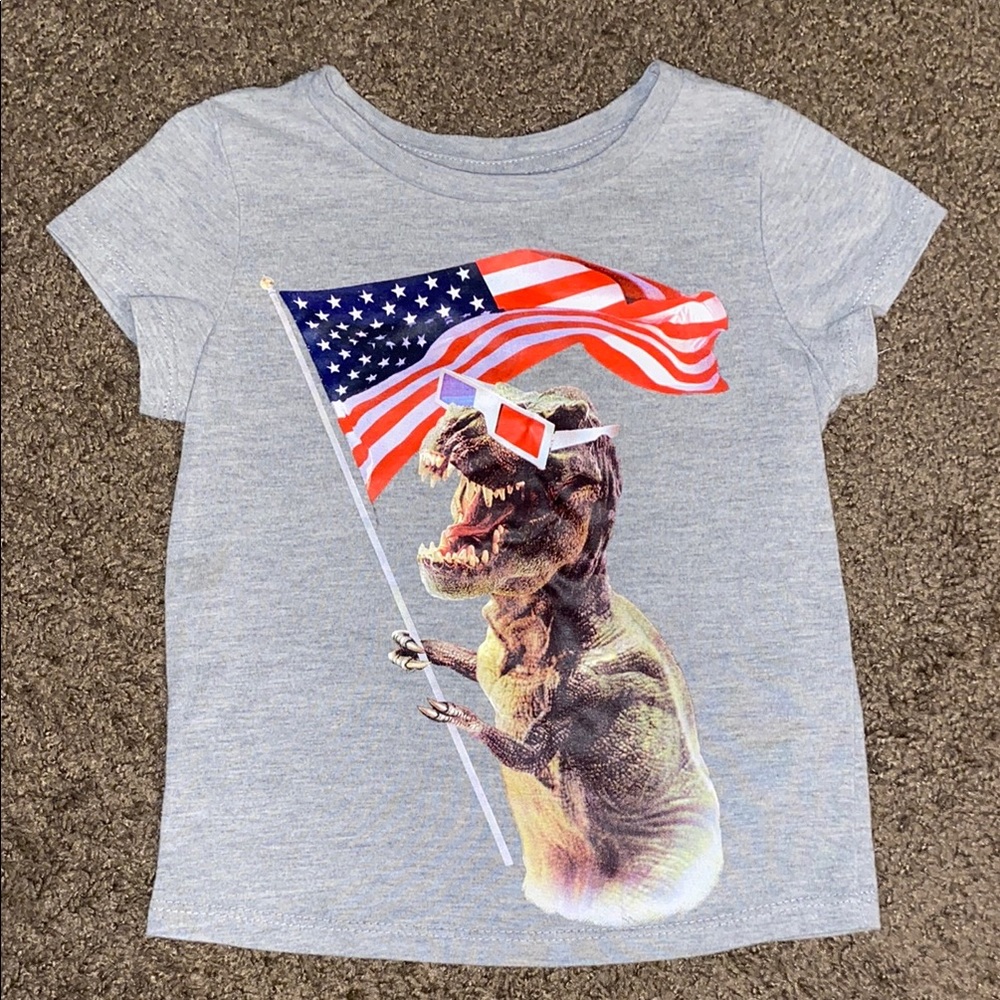 Gray Dinosaur Graphic Kids T-Shirt